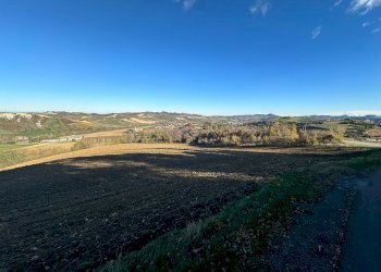 Terreno agricolo Valsamoggia - foto 2