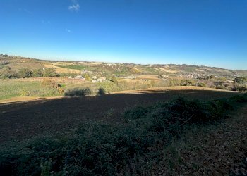 Terreno agricolo Valsamoggia - foto 3