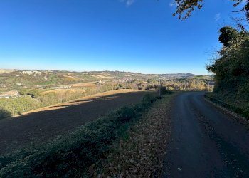 Terreno agricolo Valsamoggia - foto 4