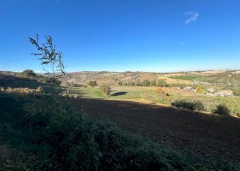 Terreno agricolo Valsamoggia - foto 5