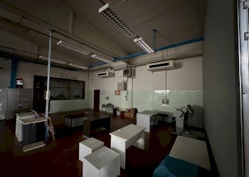 Capannone Calderara di Reno - foto 3