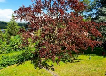 Villa Unifamiliare Rivergaro - foto 20