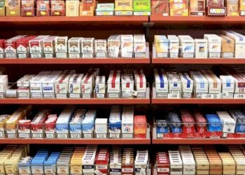 Tobacco shop Modena - photo 2