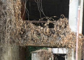 Terreno - Rustico via Camillo Benso di Cavour, 53, Rosate - foto 4