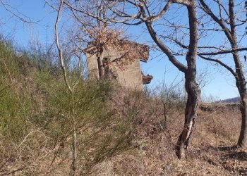 Baita Brossasco - photo 11