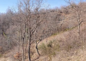 Baita Brossasco - photo 19