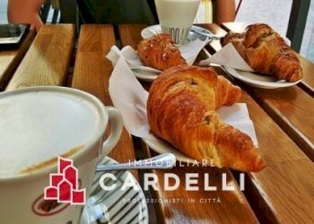 Commercial Activity Strada Statale, Porto Sant'Elpidio - photo 2