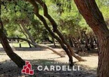 Commercial Activity Strada Statale, Porto Sant'Elpidio - photo 8