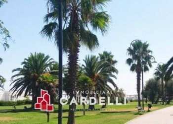 Commercial Activity Strada Statale, Porto Sant'Elpidio - photo 9