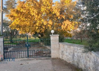 Villa Unifamiliare Contrada Figazzaro, Cisternino - foto 7