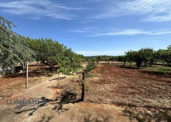 Villa Unifamiliare Contrada Figazzaro, Cisternino - foto 14