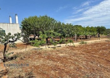 Villa Unifamiliare Contrada Figazzaro, Cisternino - foto 20