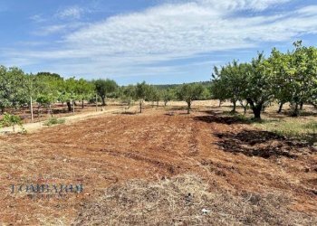 Villa Unifamiliare Contrada Figazzaro, Cisternino - foto 28