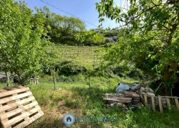 foto_14.jpg - Casa indipendente Via Cengolina, Galzignano Terme - foto 14