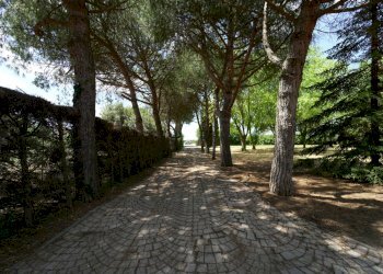 DSC08185.JPG - Villa Via Molino Ronci 8, Rimini - foto 11