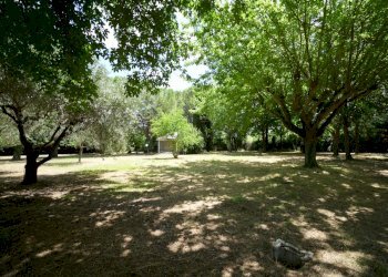 DSC08139.JPG - Villa Via Molino Ronci 8, Rimini - foto 12