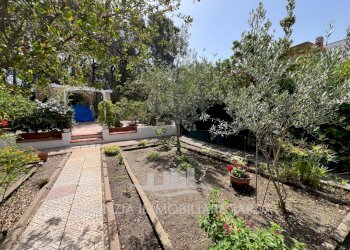 Immagine WhatsApp 2024-07-01 ore 11.15.03_8f2c078a - Villa Sorso - foto 8