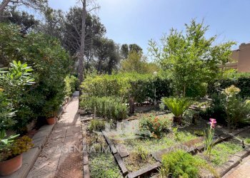 Immagine WhatsApp 2024-07-01 ore 11.15.04_d4c27171 - Villa Sorso - foto 12