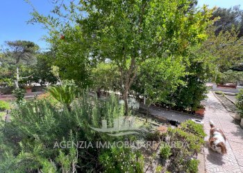 Immagine WhatsApp 2024-07-01 ore 11.15.24_86524a5f - Villa Sorso - foto 19