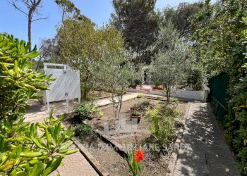 Immagine WhatsApp 2024-07-01 ore 11.15.24_a6aafc3b - Villa Sorso - foto 20