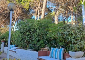 IMG-20240701-WA0125.jpg - Villa Sorso - foto 23