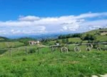 Terreno agricolo Santo Stefano Belbo - foto 17