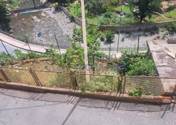 Immagine WhatsApp 2024-06-28 ore 17.04.15_4e8906fe - Porzione di casa Via Fontana, Badalucco - foto 3