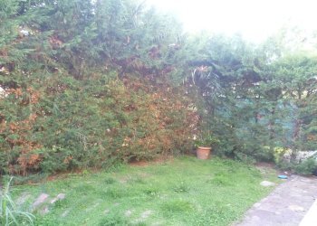 Appartamento Cervia - foto 5