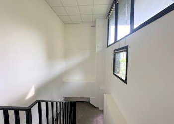 Negozio Casalecchio di Reno - foto 13