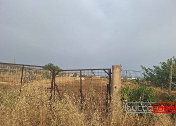 Agricultural land CONTRADA CANCELLIERI, Scicli - photo 4