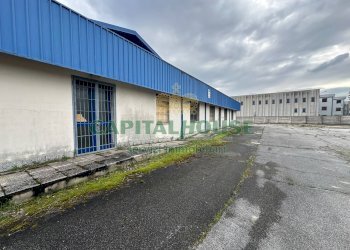 Capannone Ferrara - foto 3