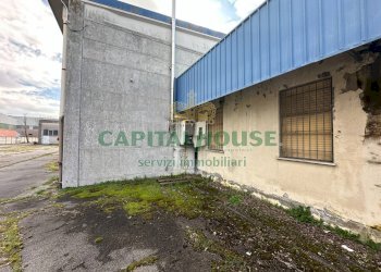 Capannone Ferrara - foto 4