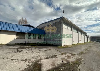 Capannone Ferrara - foto 5