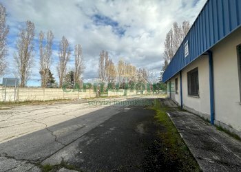 Capannone Ferrara - foto 6