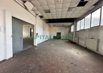 Capannone Ferrara - foto 18