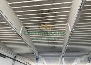 Capannone Ferrara - foto 27