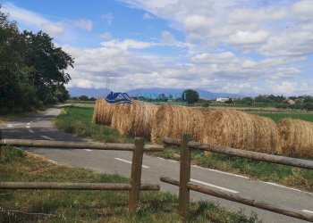 Villa Unifamiliare via del Vecchio Forte, Alba Adriatica - foto 5