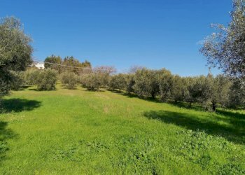 Rustic Porto Sant'Elpidio - photo 7