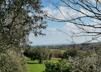 Rustic Porto Sant'Elpidio - photo 16