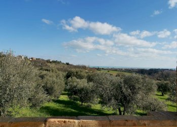 Rustic Porto Sant'Elpidio - photo 23