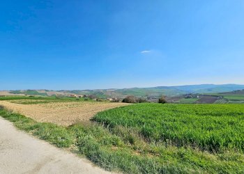 Villa Unifamiliare Fermo - foto 6