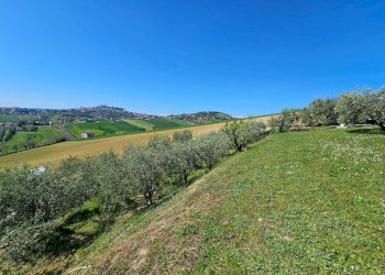Villa Unifamiliare Fermo - foto 17