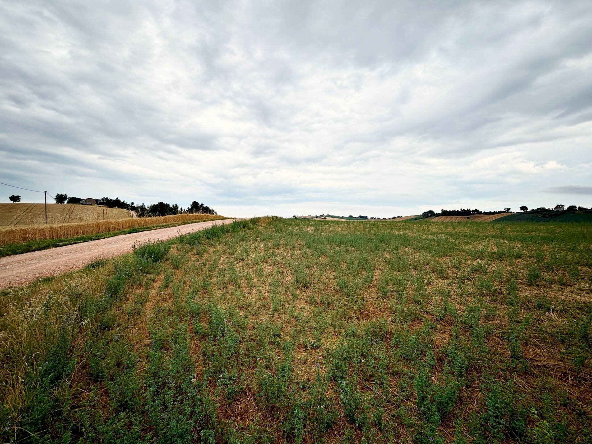 Terreno agricolo contrada montefiore, Recanati - foto 2