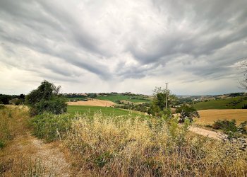 Terreno agricolo contrada montefiore, Recanati - foto 3