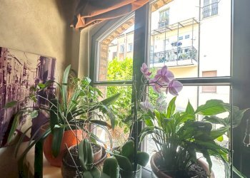 Casa indipendente Mantova - foto 13