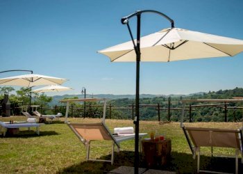 Giardino - Rustico Località Manera, Serravalle Langhe - foto 17