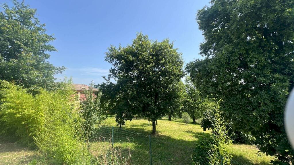 Independent house Castagnole delle Lanze - photo 3