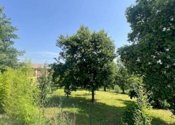 Casa indipendente Castagnole delle Lanze - foto 3