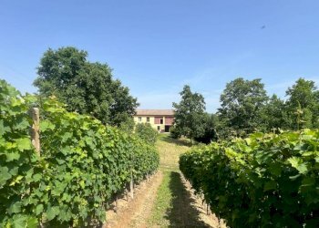 Casa indipendente Castagnole delle Lanze - foto 6