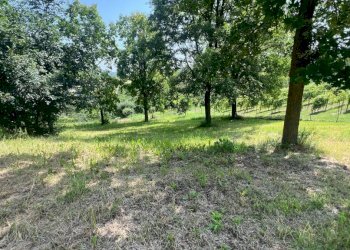 Casa indipendente Castagnole delle Lanze - foto 13